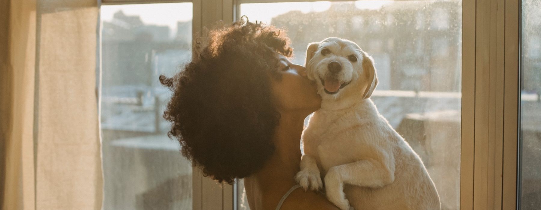 a person holding a dog